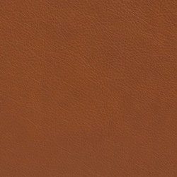 Läder Elmosoft cognac 33004